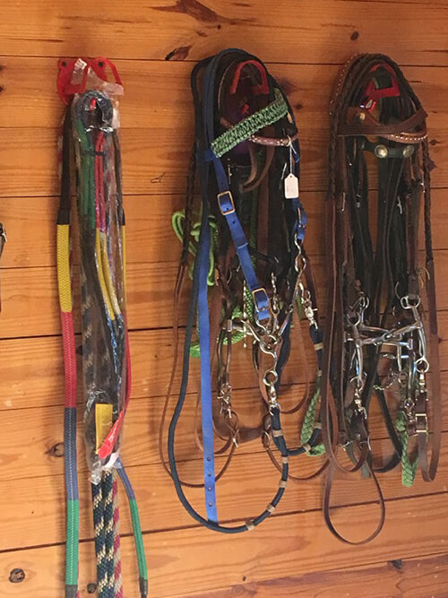 harnesses for equine therapy as you learn about Foothills at Red Oak Recovery