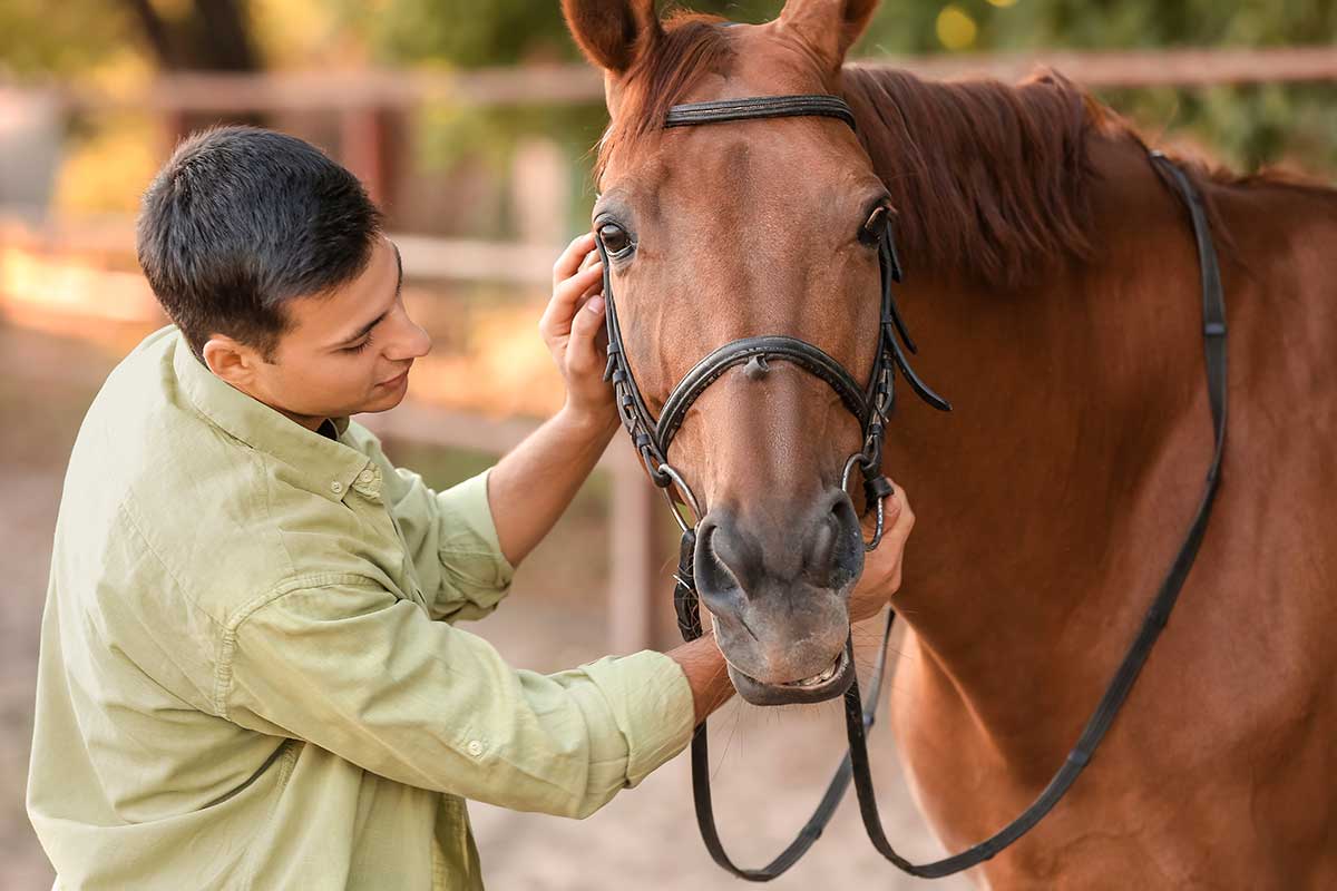 Benefits of Equine Therapy Teen Therapy Services NC
