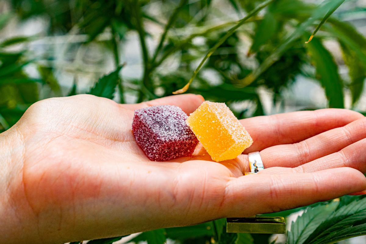 Dangers of THC Edibles  California Teen Addiction Treatment